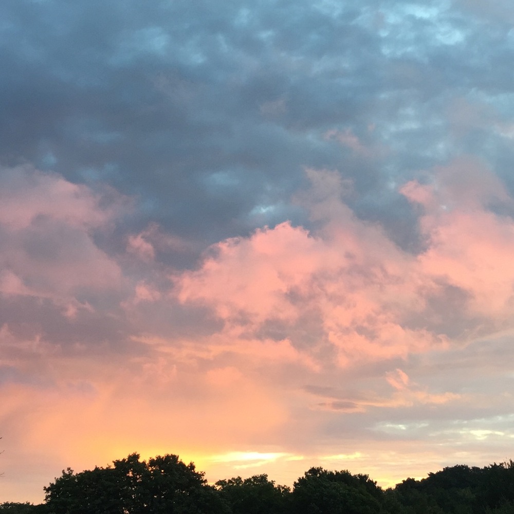 Meet your Posher, Cece